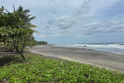 Tropical Paradise Home in Marbella, Guanacaste – 2 Bed | 2 Bath + Studio Cabin | Pool | Fruit Trees | Near Beach & Adventure
