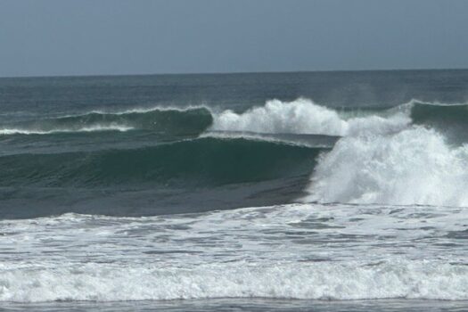 Tropical Paradise Home in Marbella, Guanacaste – 2 Bed | 2 Bath + Studio Cabin | Pool | Fruit Trees | Near Beach & Adventure