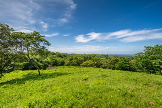 The Enclave At Los Cielos