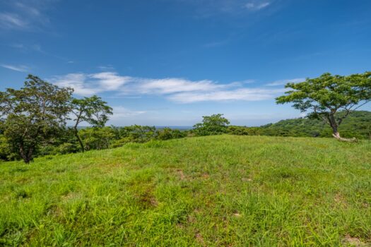 The Enclave At Los Cielos