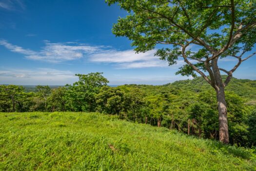 The Enclave At Los Cielos