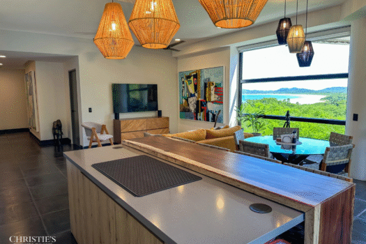 La Perla Tamarindo Ocean View unit #141
