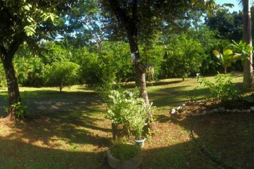 Exceptional Residential & Commercial Property in Playa Junquillal – Two BDRM Beach & Guest Home.