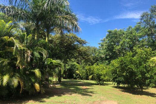 Exceptional Residential & Commercial Property in Playa Junquillal – Two BDRM Beach & Guest Home.