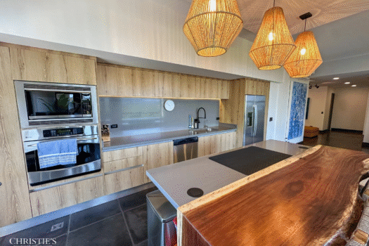 La Perla Tamarindo Ocean View unit #141
