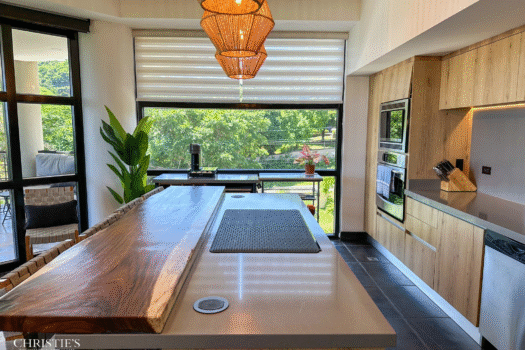 La Perla Tamarindo Ocean View unit #141