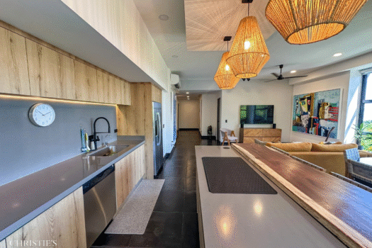 La Perla Tamarindo Ocean View unit #141