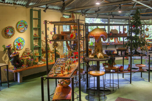 The Lucky Bug – Nuevo Arenal, Costa Rica | Owner Financing Available