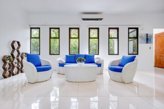 V-Iguana Finca Panamá