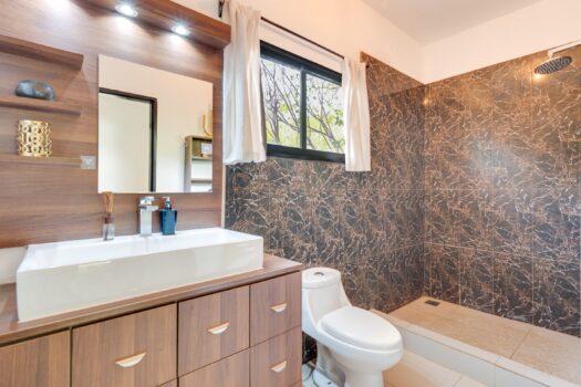 V-Iguana Finca Panamá