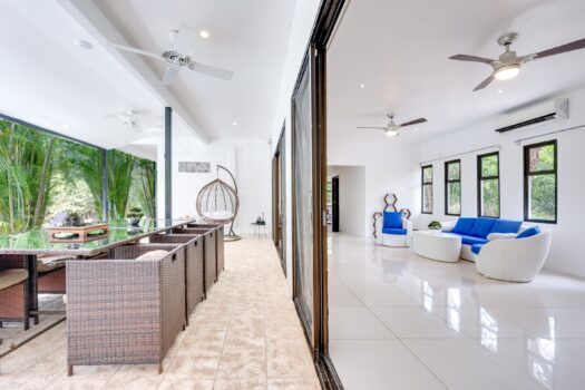 V-Iguana Finca Panamá