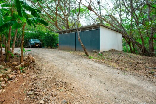 V-Iguana Finca Panamá