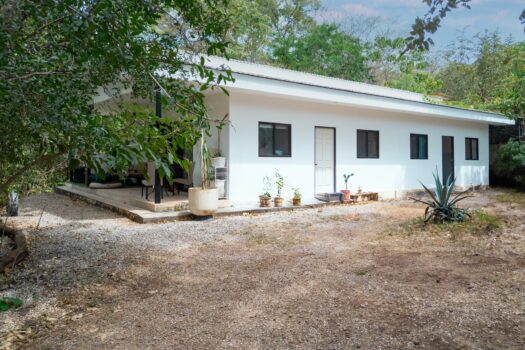 V-Iguana Finca Panamá