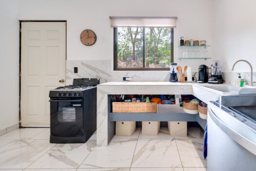 V-Iguana Finca Panamá