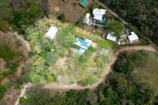 V-Iguana Finca Panamá