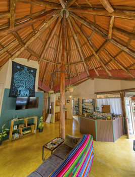 The Lucky Bug – Nuevo Arenal, Costa Rica | Owner Financing Available