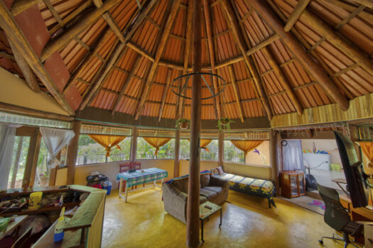 The Lucky Bug – Nuevo Arenal, Costa Rica | Owner Financing Available