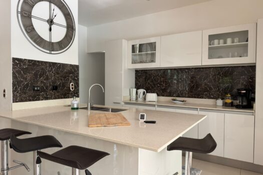 V-Iguana Finca Panamá