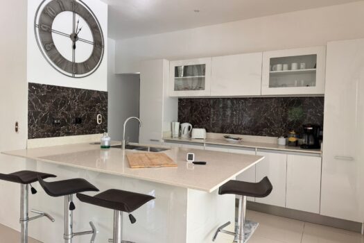 V-Iguana Finca Panamá