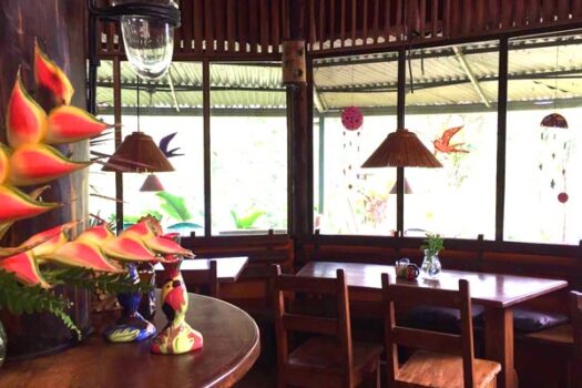 The Lucky Bug – Nuevo Arenal, Costa Rica | Owner Financing Available