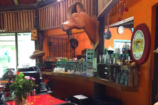 The Lucky Bug – Nuevo Arenal, Costa Rica | Owner Financing Available