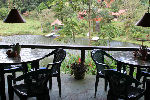 The Lucky Bug – Nuevo Arenal, Costa Rica | Owner Financing Available
