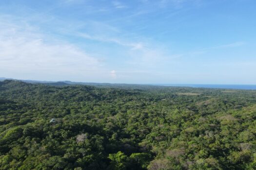 Jungle Sanctuary in the hills of Playa Negra