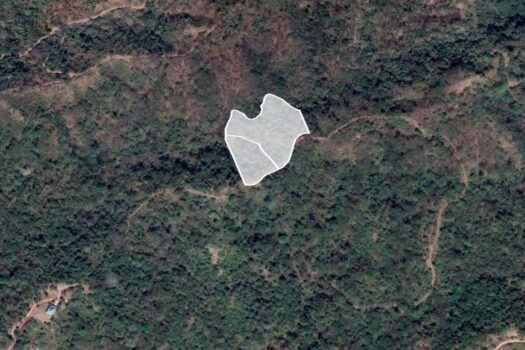 Jungle Sanctuary in the hills of Playa Negra