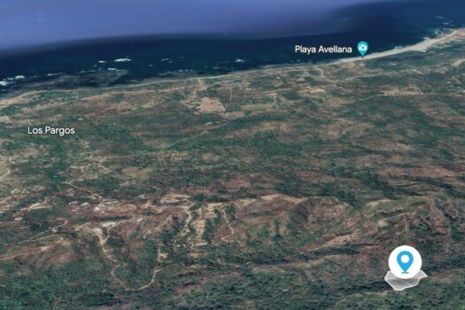 Jungle Sanctuary in the hills of Playa Negra