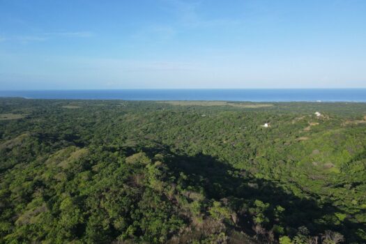 Jungle Sanctuary in the hills of Playa Negra