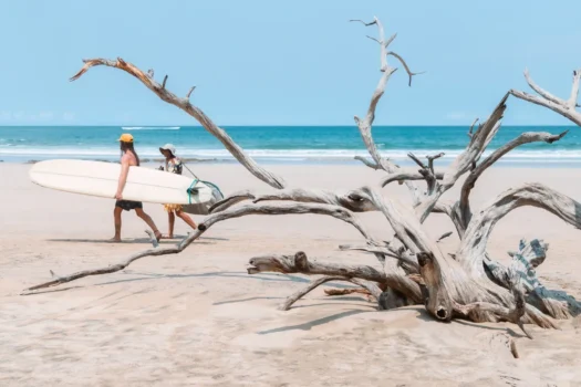 Build-Ready Lot Near Playa Avellanas – Gated Community