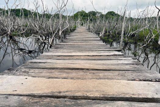 Two Charming Homes Steps from Playa Avellanas