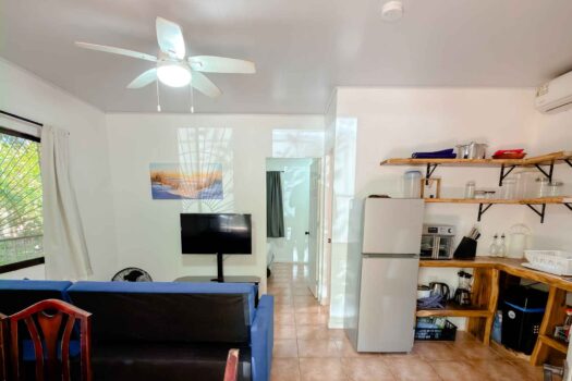 Two Charming Homes Steps from Playa Avellanas