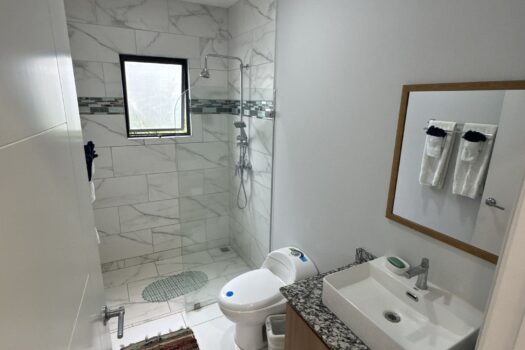 Playa Avellanas Investment Gem: 4 Units Walking Distance to the Beach