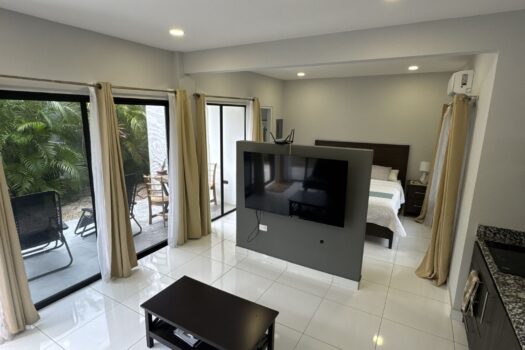 Playa Avellanas Investment Gem: 4 Units Walking Distance to the Beach