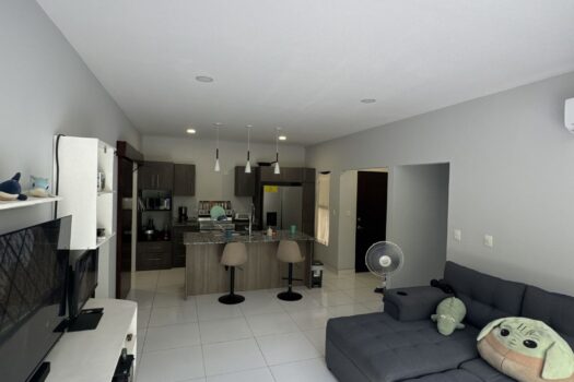 Playa Avellanas Investment Gem: 4 Units Walking Distance to the Beach