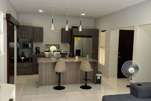 Playa Avellanas Investment Gem: 4 Units Walking Distance to the Beach