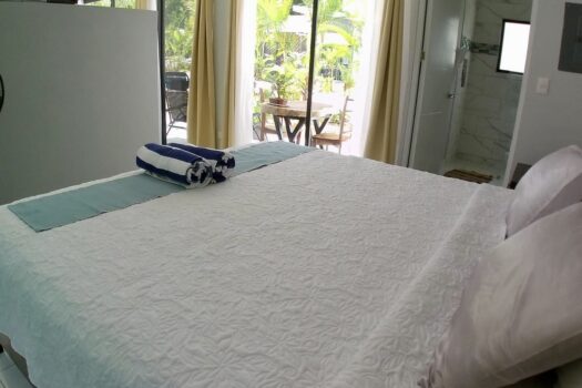 Playa Avellanas Investment Gem: 4 Units Walking Distance to the Beach