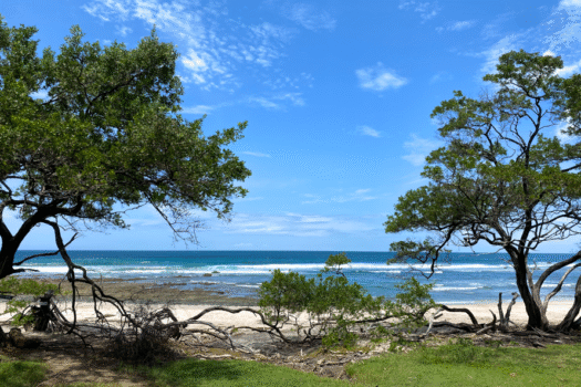 Playa Avellanas Investment Gem: 4 Units Walking Distance to the Beach