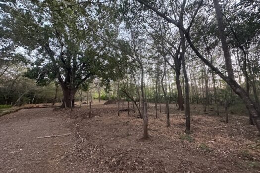 Build-Ready Lot Near Playa Avellanas – Gated Community