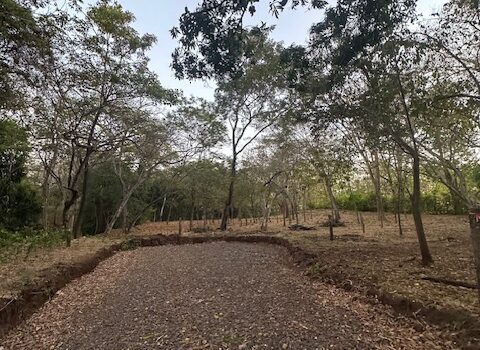 Build-Ready Lot Near Playa Avellanas – Gated Community