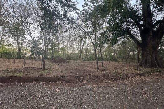 Build-Ready Lot Near Playa Avellanas – Gated Community