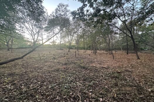 Build-Ready Lot Near Playa Avellanas – Gated Community