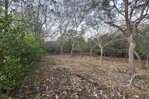 Build-Ready Lot Near Playa Avellanas – Gated Community