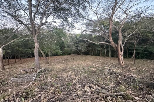 Build-Ready Lot Near Playa Avellanas – Gated Community