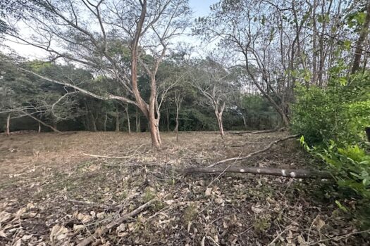 Build-Ready Lot Near Playa Avellanas – Gated Community