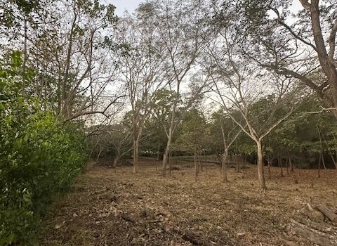 Build-Ready Lot Near Playa Avellanas – Gated Community