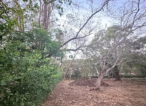 Build-Ready Lot Near Playa Avellanas – Gated Community