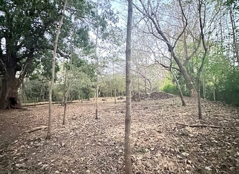 Build-Ready Lot Near Playa Avellanas – Gated Community