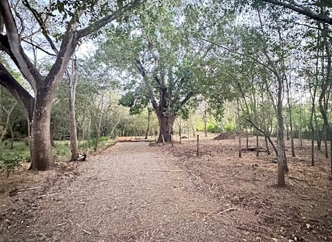 Build-Ready Lot Near Playa Avellanas – Gated Community